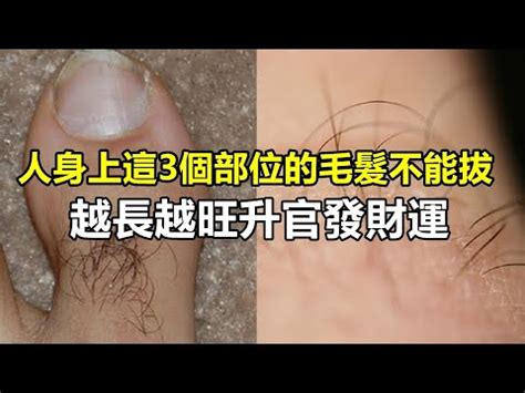 奶毛面相|乳相篇 : 乳頭生毛性慾強